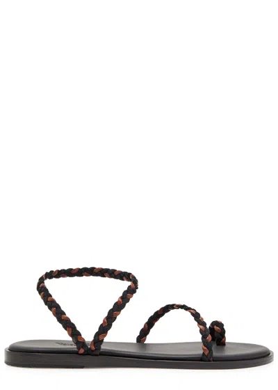 Ancient Greek Sandals Elevated Eleftheria Braided Leather Sandals In Black