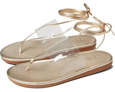 Ancient Greek Sandals Eygenia Women's Clear Platinum Wrap-around Sandals Khd711 In Gold