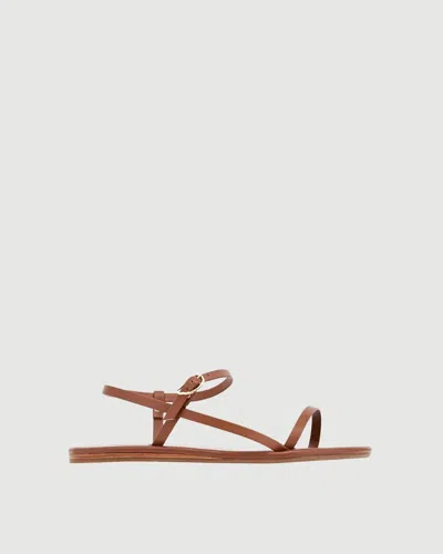 Ancient Greek Sandals Filothei Sandal In Brown