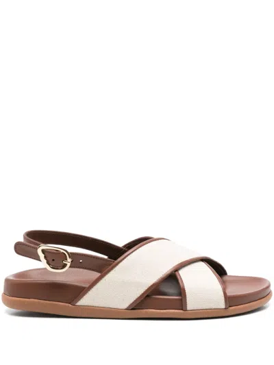 Ancient Greek Sandals Ikesia Sandals In Brown