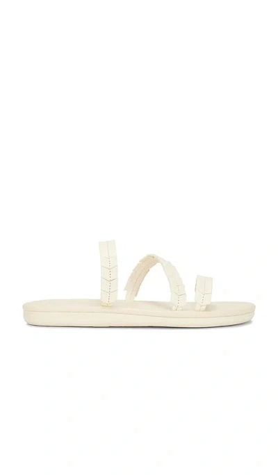 Ancient Greek Sandals Iliana Sandal In 米白