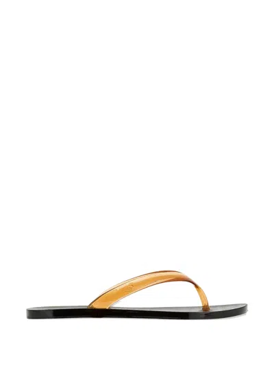 Ancient Greek Sandals Jelly Flip Flops In Animal Print