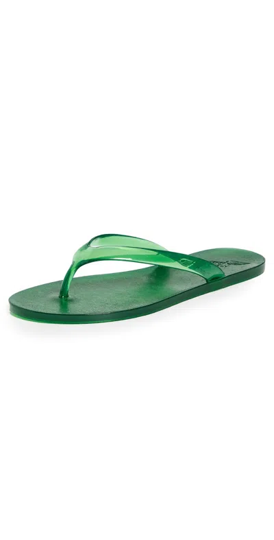 Ancient Greek Sandals Jelly Flip Flops Green