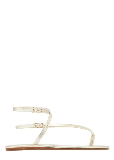 Ancient Greek Sandals Kallisti Leather Sandals In Multi
