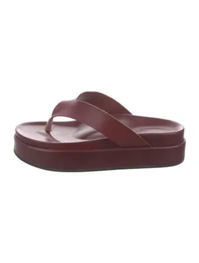 Pre-owned Ancient Greek Sandals Leather Flip Flops In Burgundy