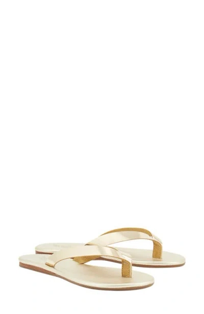 Ancient Greek Sandals Leda Leather Flip Flop In Gold