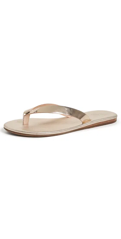 Ancient Greek Sandals Leda Sandals Gold