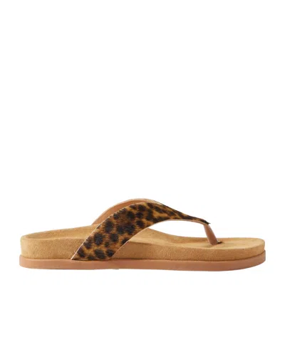 Ancient Greek Sandals Charys Leopard-print Calf Hair Sandals In Brown