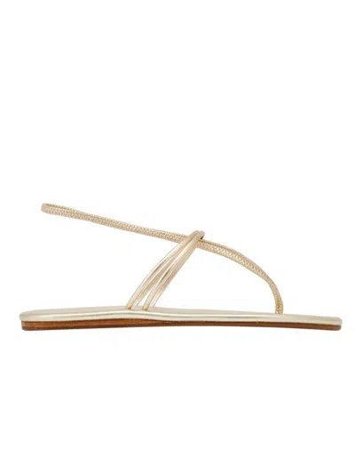 Ancient Greek Sandals Lorida Woman Sandals Shoes In Grey