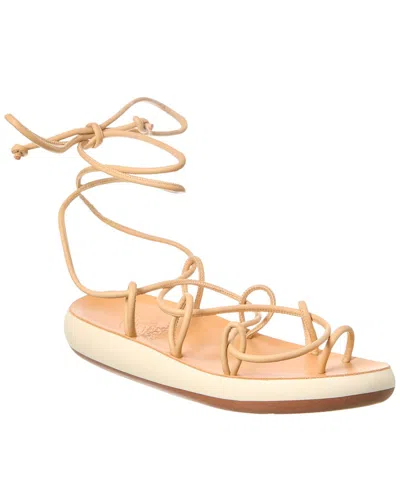 Ancient Greek Sandals Nisi Sandal In Brown