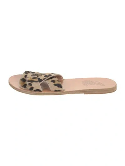 Pre-owned Ancient Greek Sandals Ponyhair Animal Print Slides In Brown