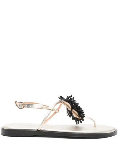 Ancient Greek Sandals Rikki Sandals In Gold