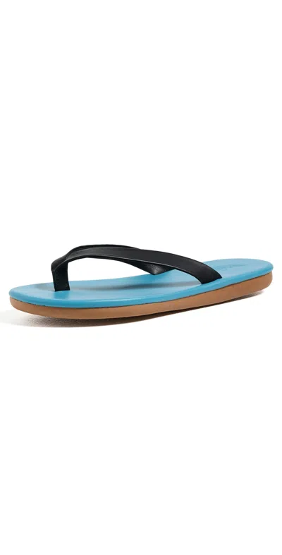 Ancient Greek Sandals Saionara Leather Flip Flops In Blue