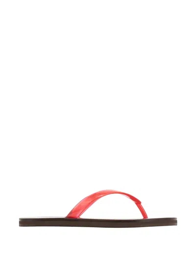 Ancient Greek Sandals Saionara Jelly Flip Flops Clear Red