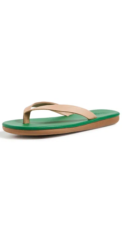 Ancient Greek Sandals Saionara Flip Flops Natural/green