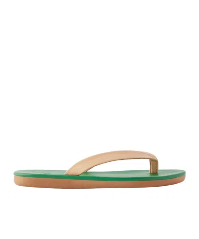 Ancient Greek Sandals Saionara Leather Flip Flops In Multi