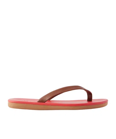 Ancient Greek Sandals Saionara Leather Flip Flops In Black