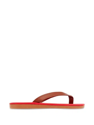 Ancient Greek Sandals Saionara Leather Flip Flops In Black