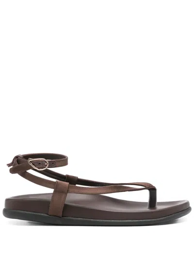 Ancient Greek Sandals Saloni Sandals In Brown