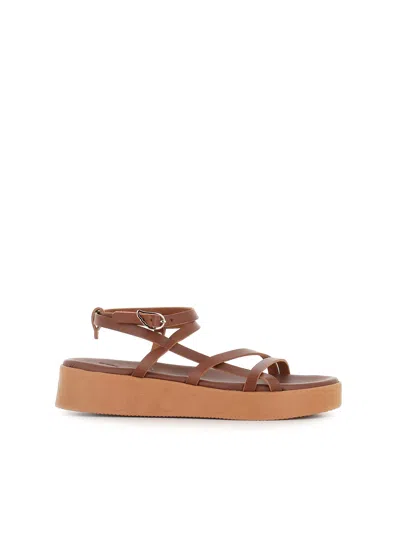 Ancient Greek Sandals Stiliani Sandals In Multi