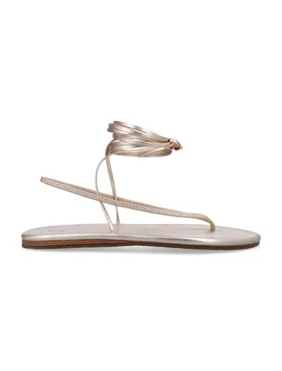 Ancient Greek Sandals Sfendoni Thong Sandals In Platinum