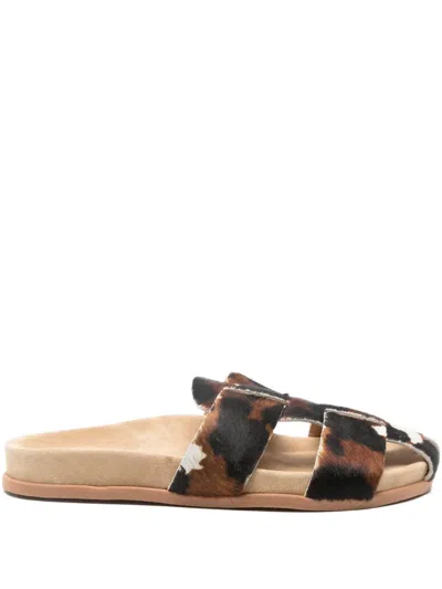 Ancient Greek Sandals Skafi Sandals In Multi