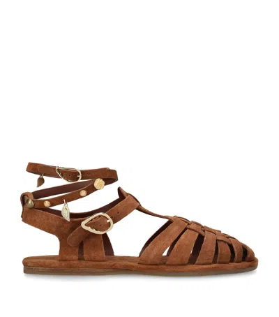 Ancient Greek Sandals Suede Karina Sandals In Brown