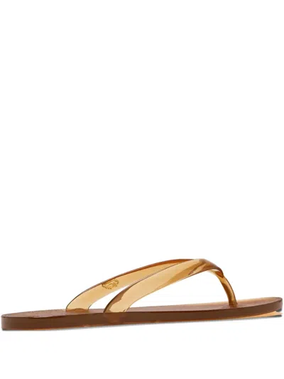 Ancient Greek Sandals T-strap Flip-flops In Brown