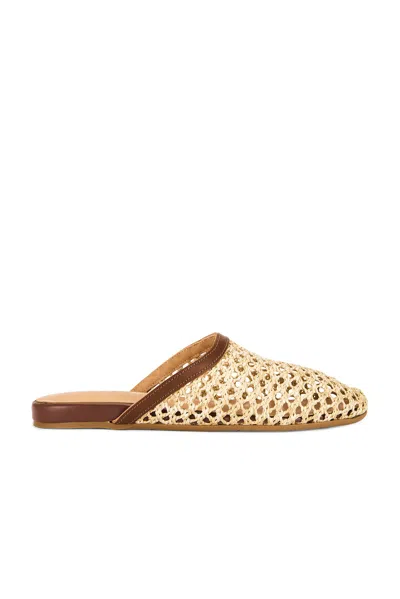 Ancient Greek Sandals The Slipper In Brown