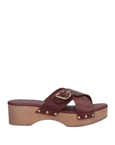 Ancient Greek Sandals Woman Mules & Clogs Burgundy Size 5 Cowhide In Red