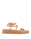 Ancient Greek Sandals Aristea Buckle-fastened Sandals In Pink