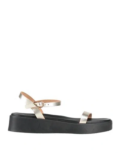 Ancient Greek Sandals Woman Sandals Platinum Size 6 Leather In Black