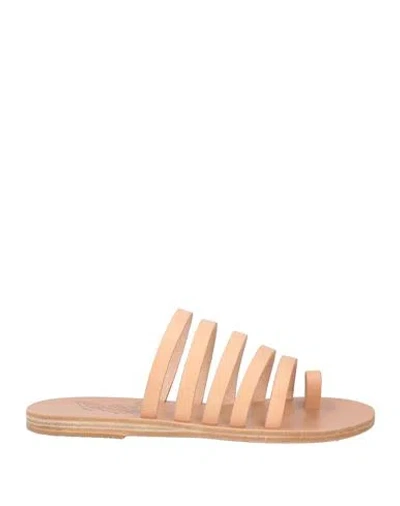 Ancient Greek Sandals Woman Thong Sandal Blush Size 7 Cowhide In Pink