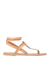 Ancient Greek Sandals Estia T-bar Leather Sandals In Pink