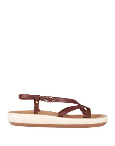 Ancient Greek Sandals Woman Thong Sandal Cocoa Size 7 Soft Leather In Brown