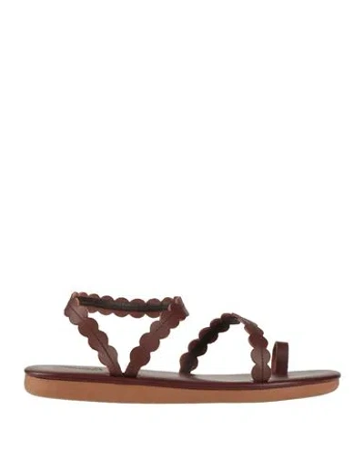 Ancient Greek Sandals Woman Thong Sandal Dark Brown Size 7 Cowhide