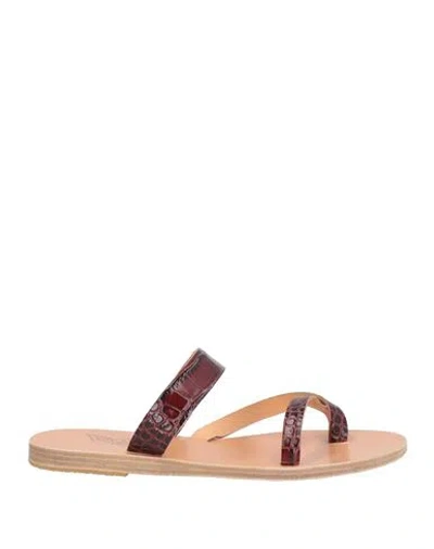 Ancient Greek Sandals Woman Thong Sandal Dark Brown Size 8 Leather
