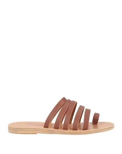 Ancient Greek Sandals Woman Thong Sandal Light Brown Size 6 Cowhide In Black
