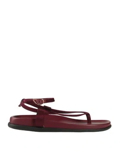 Ancient Greek Sandals Woman Thong Sandal Plum Size 8 Textile Fibers In Purple