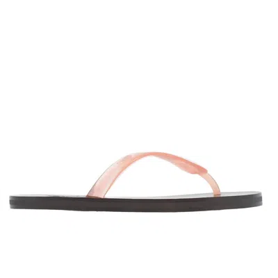 Ancient Greek Sandals Women's Saionara Jelly Flip Flop Sandal In Clear Pink