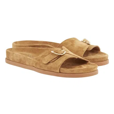 Ancient Greek Sandals Women's Stoa Sandal In Sahara In Brown