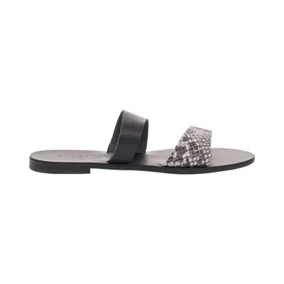 Ancientoo Women's White / Black Comfortable Slides Ceto White Python Print-black In White/black