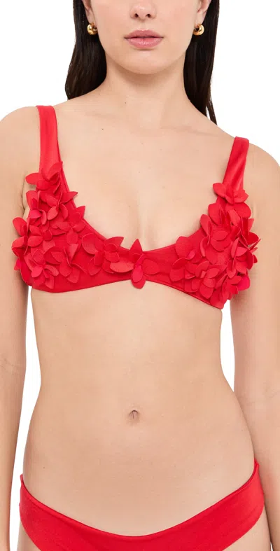 Ancora Aula Bikini Top Red