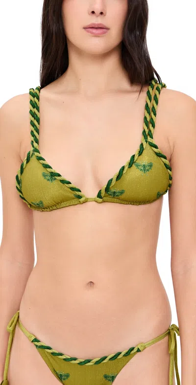 Ancora Delmare Bikini Top Dark Yellow In Green