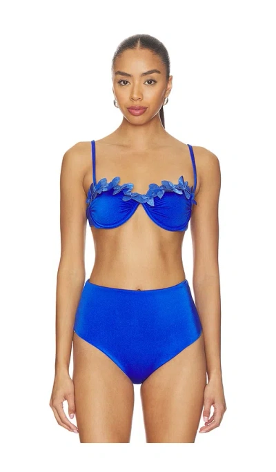 Ancora Nysa Bikini Top In Blue