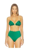 Ancora Vea Bikini Top In Green
