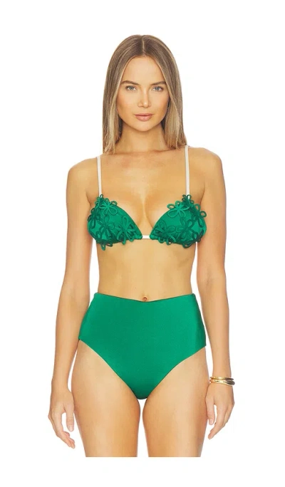 Ancora Vea Bikini Top In Green