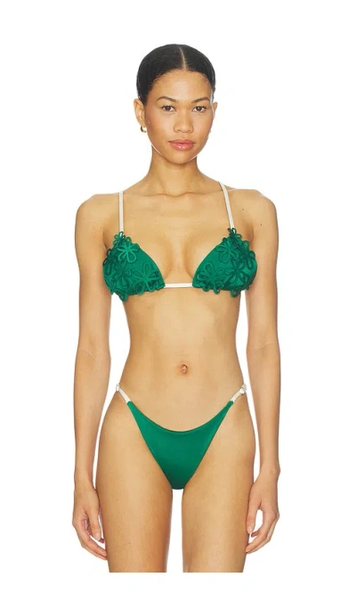 Ancora Vea Bikini Top In Green