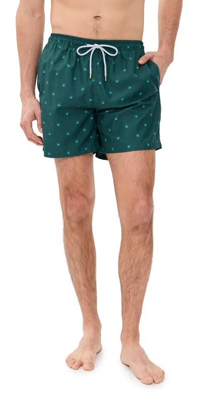 Ancora Zareli Swim Trunks 5.5 Green