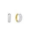 And Now This Two Tone Hinged Hoop Earring In Two Tone